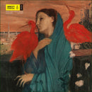 Amnesty International - Maandkalender 2026 - Catch Utrecht