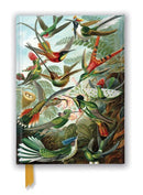 Ernst Haeckel: Hummingbirds - Notebook (A5) - Catch Utrecht