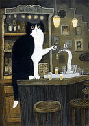 Felix van Willem Slok - Catch Utrecht