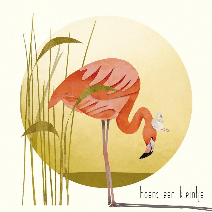 Flamingo met jong - Hoera een kleintje - Catch Utrecht