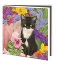 Franciens katten, Francien van Westering - Catch Utrecht