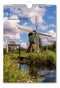 Holland - Weekkalender 2026 - Catch Utrecht