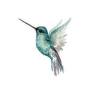 Kolibrie, wenskaart - Catch Utrecht