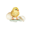 Kuiken, wenskaart - Catch Utrecht