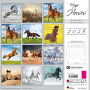 Magic Horses - Jaarkalender 2026 - Catch Utrecht
