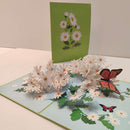 Margrietjes - Pop - Up kaart - Catch Utrecht