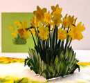 Narcissen - Pop - Up kaart - Catch Utrecht