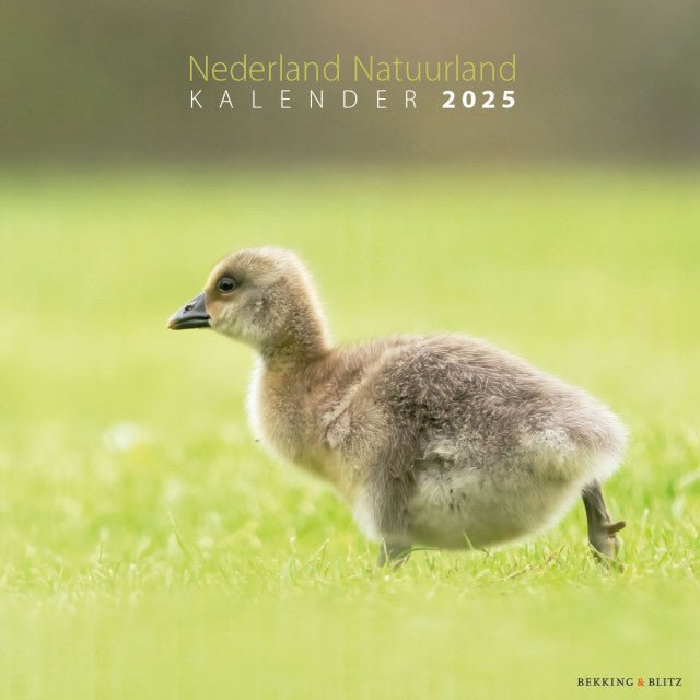 Nederland Natuurland - Jaarkalender 2025 - Catch Utrecht