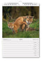 Nederland Natuurland - Weekkalender 2026 - Catch Utrecht