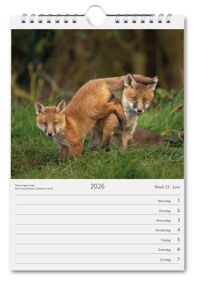 Nederland Natuurland - Weekkalender 2026 - Catch Utrecht
