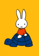 Nijntje op schildpad - Catch Utrecht