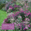 Tuinen - Gardens, Modeste Herwig - Maandkalender 2026 - Catch Utrecht