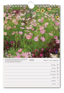 Tuinen, Modeste Herwig - Weekkalender 2026 - Catch Utrecht