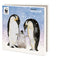 Winter dieren, Maartje Bodt, Wereld Natuurfonds (incl. sluitstickers) - Catch Utrecht