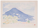 12 views of Mount Fuji 8 - Catch Utrecht
