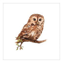 Bosuil, wenskaart - Catch Utrecht