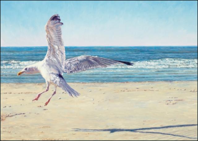 De Noordzee II, Happy Landing, Yvonne Melchers - Catch Utrecht