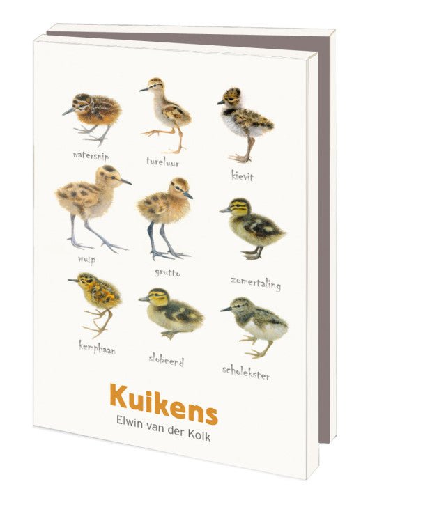 Kuikens, Elwin van der Kolk, Vogelbescherming - Catch Utrecht