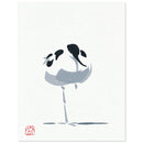 Rustende kluut - Catch Utrecht