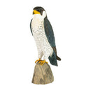 Slechtvalk - Houten vogel beeld - Catch Utrecht