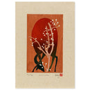 Solitude - Catch Utrecht