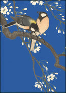 Tits on Cherry Branch, Ohara Koson, Collection Rijksmuseum Amsterdam - Catch Utrecht