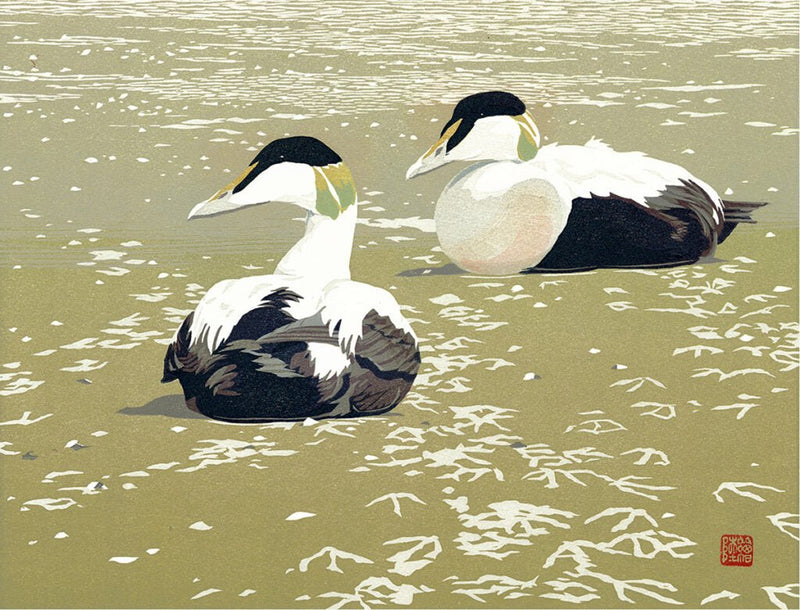 Twee eiders - Catch Utrecht